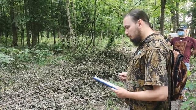 Началась вырубка леса в Сабурово, г.о. Красногорск смотреть онлайн