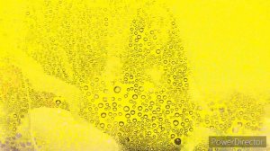 Интересные факты про Камчатку?