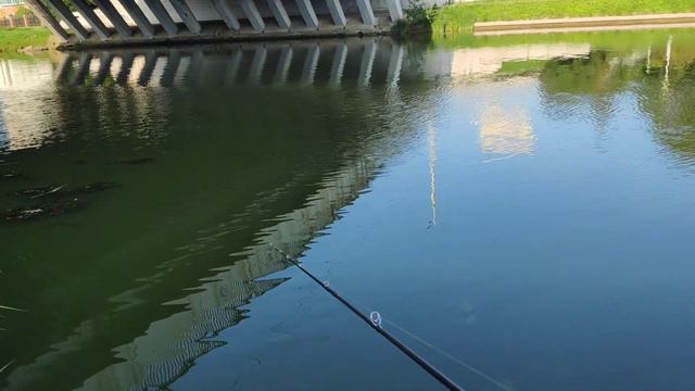 Ультралайт мормышинг в центре Минска. Baitcasting. Abu Garcia MGX2 смотреть онлайн