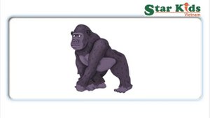 Letter G Oxford Phonics World .mp4