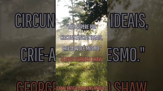 IMPERDÍVEL MOMENTO DE TRANQUILIDADE E REFLEXÃO! FRASES DE AUTO AJUDA, INCENTIVO E REFLEXÃO. 04 смотреть онлайн