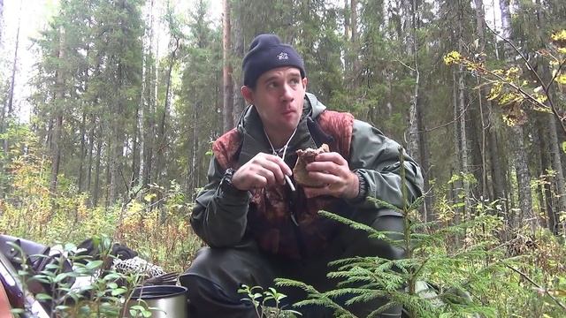 Охота на рябчика. Семь рябчиков не предел! Осенняя прогулка по лесу смотреть онлайн