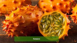 Экзотические овощные растения / Радиопередача «И в саду, и в огороде» 16 01 2023