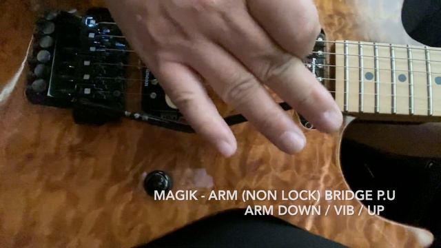 RED BISHOP MAGIK-ARM / FLOYDROSE TREMOLO ARM 比較 смотреть онлайн