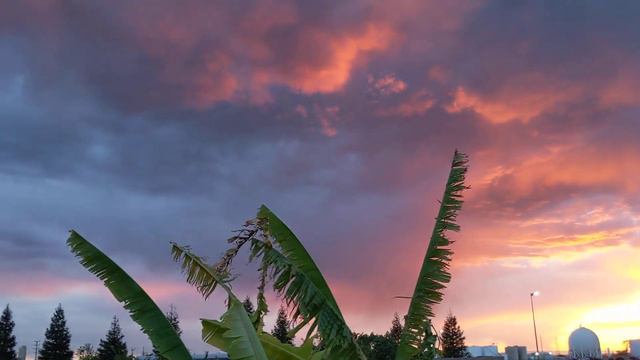 Нереальной красоты закат! Incredible sunset in Rio Linda, California!