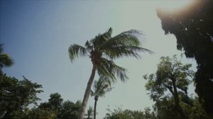 Гранд Джомтьен Палас 3*, Паттайя. Grand Jomtien Palace 3*