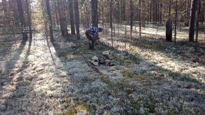 как надо собирать брусника самодельный комбайн -How to collect cranberries homemade harvester