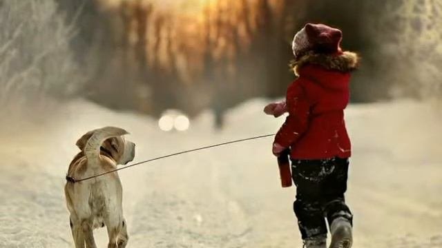 3 Способа как быстро заснуть