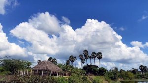 Strvtos - This and you