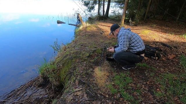 СЕМЬЯ ИЗ ЛЕСА: Надоело жить в деревне - едем с палаткой на озеро Кромань смотреть онлайн