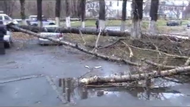 Распиловка деревьев смотреть онлайн