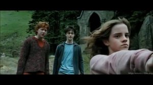 1 то самое видео где Гермиона ударила Драко(1)