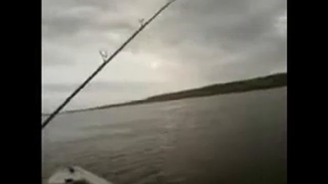 Жереховая рыбалка.21мая2011года.База "Песчаный берег" смотреть онлайн