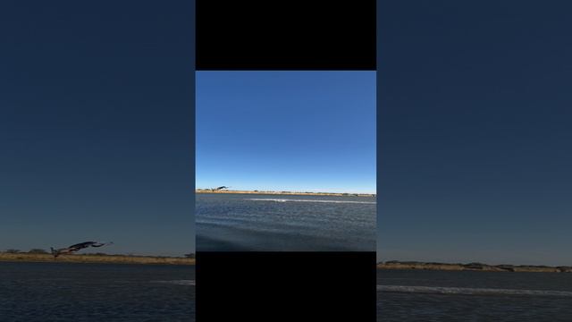 анапа кайт