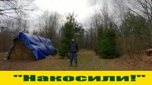 "Накосили" сено за день и последние  деньки  перед морозами! Жизнь в деревне!
