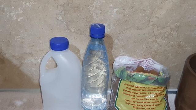 У СВЕТЫ НОВАЯ ИГРУШКА! Антуриум. 05.12.2022. смотреть онлайн