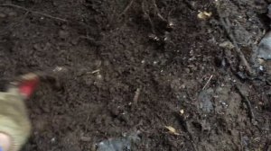 А ТАМ ЧТО-ТО ЕСТЬ! НАЙДЕН ЦАРСКИЙ ФУНДАМЕНТ В ЛЕСУ!