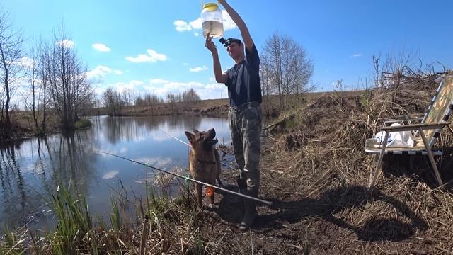 Рыбалка на болоте. День Рождения пса Ларри! смотреть онлайн