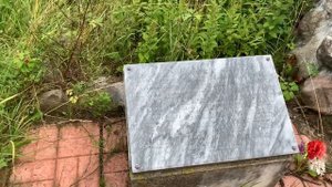 Вспомним лето. Село Кузнецово.