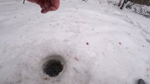 КРУПНАЯ ПЛОТВА НА БЕЗМОТЫЛКУ! БАТОНЫ АТАКУЮТ))!