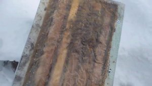 Зимовка в 6 рамочных ульях.