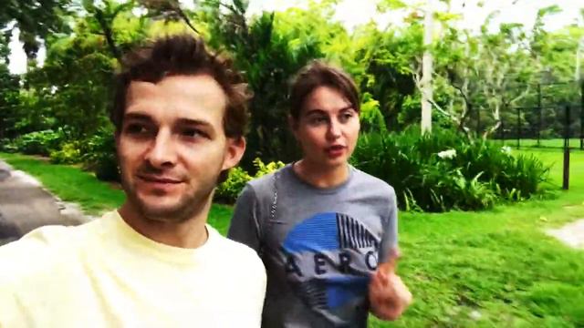 КЛАССНЫЙ ЗООПАРК ВO ФЛОРИДE-Flamingo garden.СТОМАТОЛОГ США смотреть онлайн