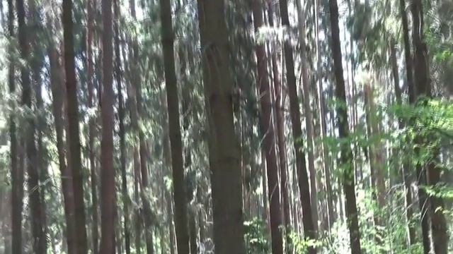 От кожных болезней..всем..(Из серии ритуалов 'Безмолвная магия').. ВЕДЬМИНА ИЗБА ИНГА ХОСРОЕВА