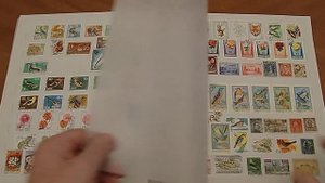 Иностранные марки.  Флора и фауна.  Альбом 1.