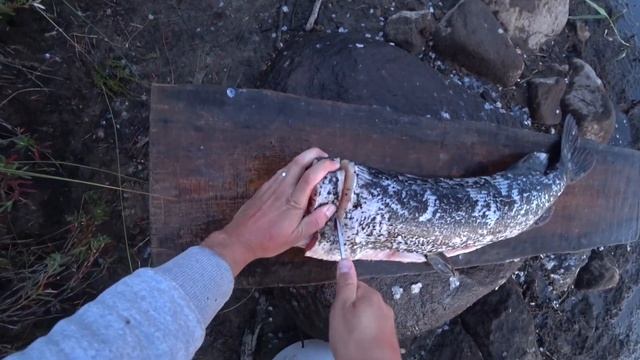 Рыбалка на небольшой речке / Под порогом / Спиннинг на реке ч. 2 смотреть онлайн