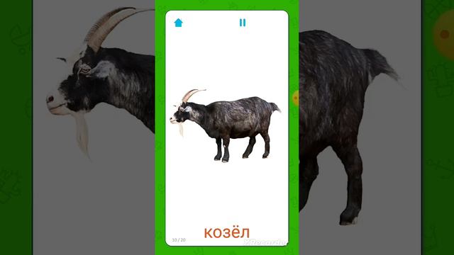 Узнаем Мир Животных со звуком/Русский язык/@Polezna_dla_vse смотреть онлайн