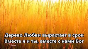 КАРАОКЕ -  Дерево Любви