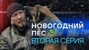 «Новогодний Пёс». 2 серия