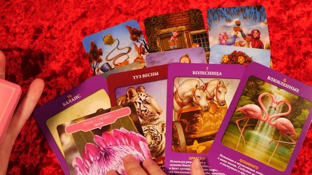 ЧТО Я ЕЩЕ УСПЕЮ ДО КОНЦА ГОДА? смотреть онлайн