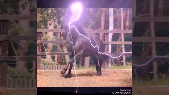 Пнсня Ускакала в поле молодая лошадь Барбарики смотреть онлайн