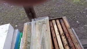 Обработка щавелевой кислотой.