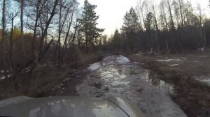 на порше кайене по лесу