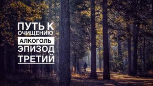 Путь к очищению: Алкоголь! Отказ от привычки. Плюсы и минусы! Эпизод третий