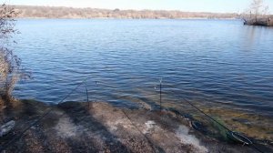 СУПЕР РЫБАЛКА КРУПНЯ ТАРАНЬ БЕШЕНЫЙ КЛЁВ.