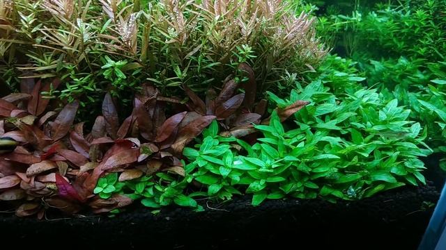 Голландец и море. Что полезного вам показать в следующем видео? пишите в комментариях! смотреть онлайн