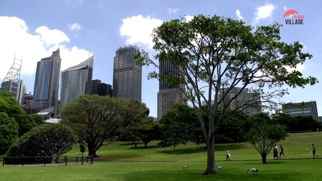 Sydney Travel Guide 2022 - Best Places to Visit in Sydney Australia in 2022