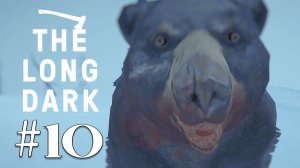 Прохождение The Long Dark: Episode 2 -- #10 - Неугомонный медведь