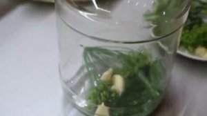 Маринованные помидоры с лимонной кислотой на зиму. Рецепт помидор без уксуса