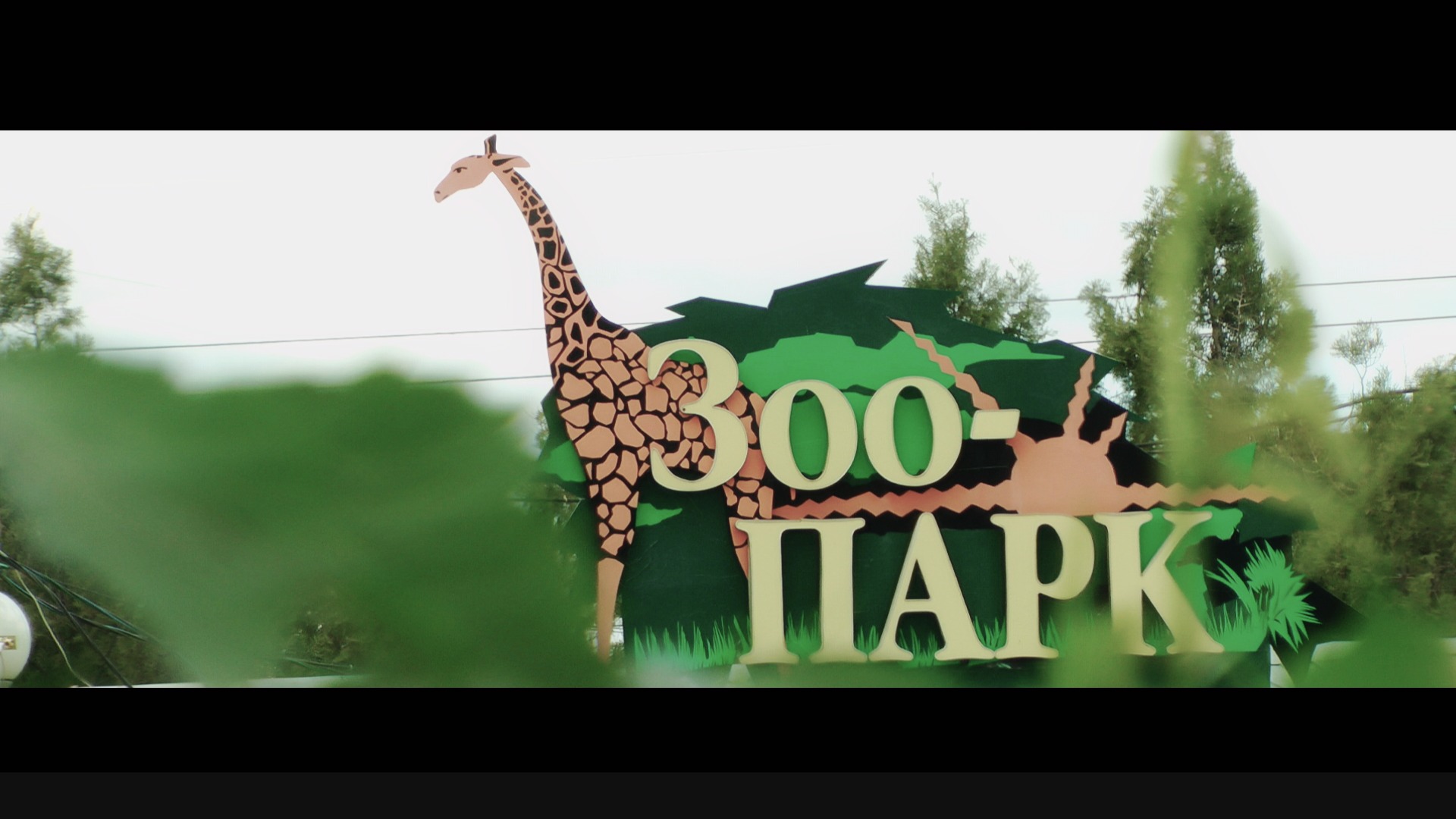 Зоопарк 1 видео. Ростовский зоопарк.