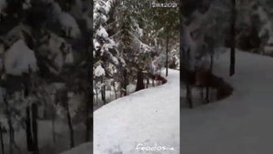 Водопады Ахинкоски. Сказочная Карелия. Зимнее.