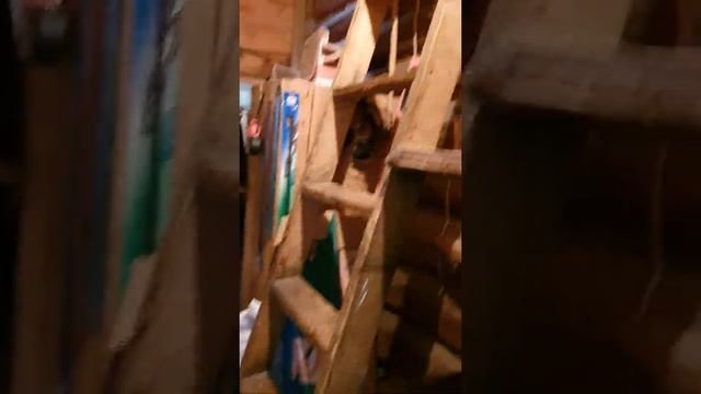 дом Старая Торопа смотреть онлайн