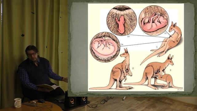 _66-23 Палеогеновый период _ Александр Ипатов смотреть онлайн