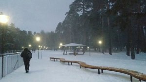 Метель 3D #метель #снег #зима