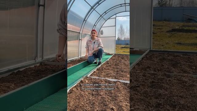 Грядки в теплице смотреть онлайн