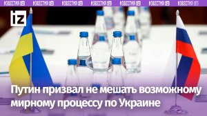 Путин призвал не мешать возможному мирному процессу по Украине / Известия