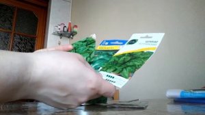 шпинат. семена шпината какие купить